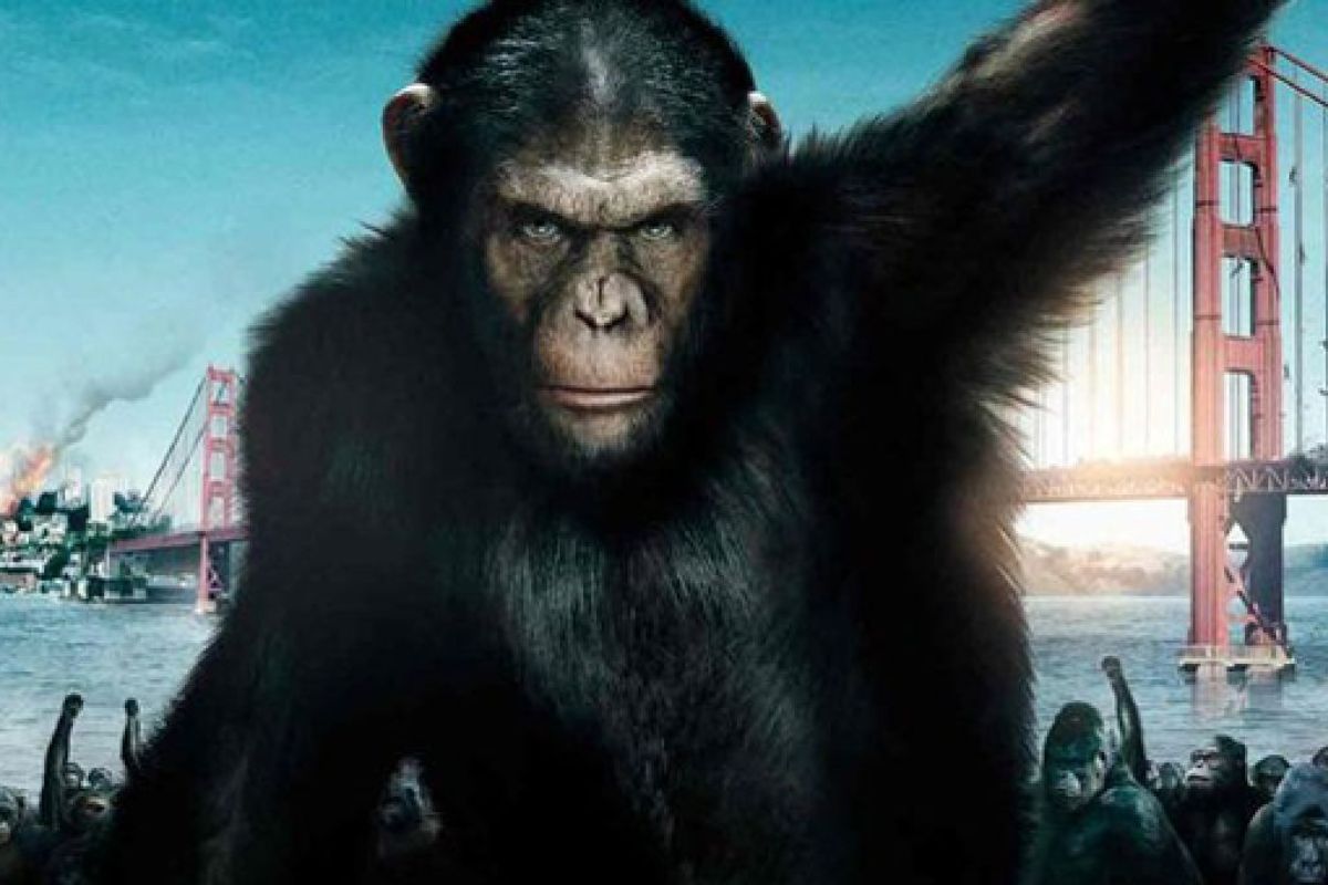 La Planète des Singes premières images du film événement à ne pas manquer en 2024 !